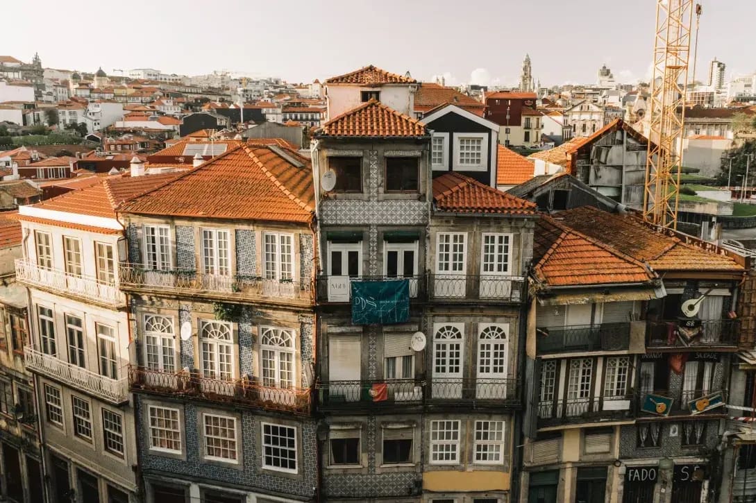 Maple Coast Portuguese 6