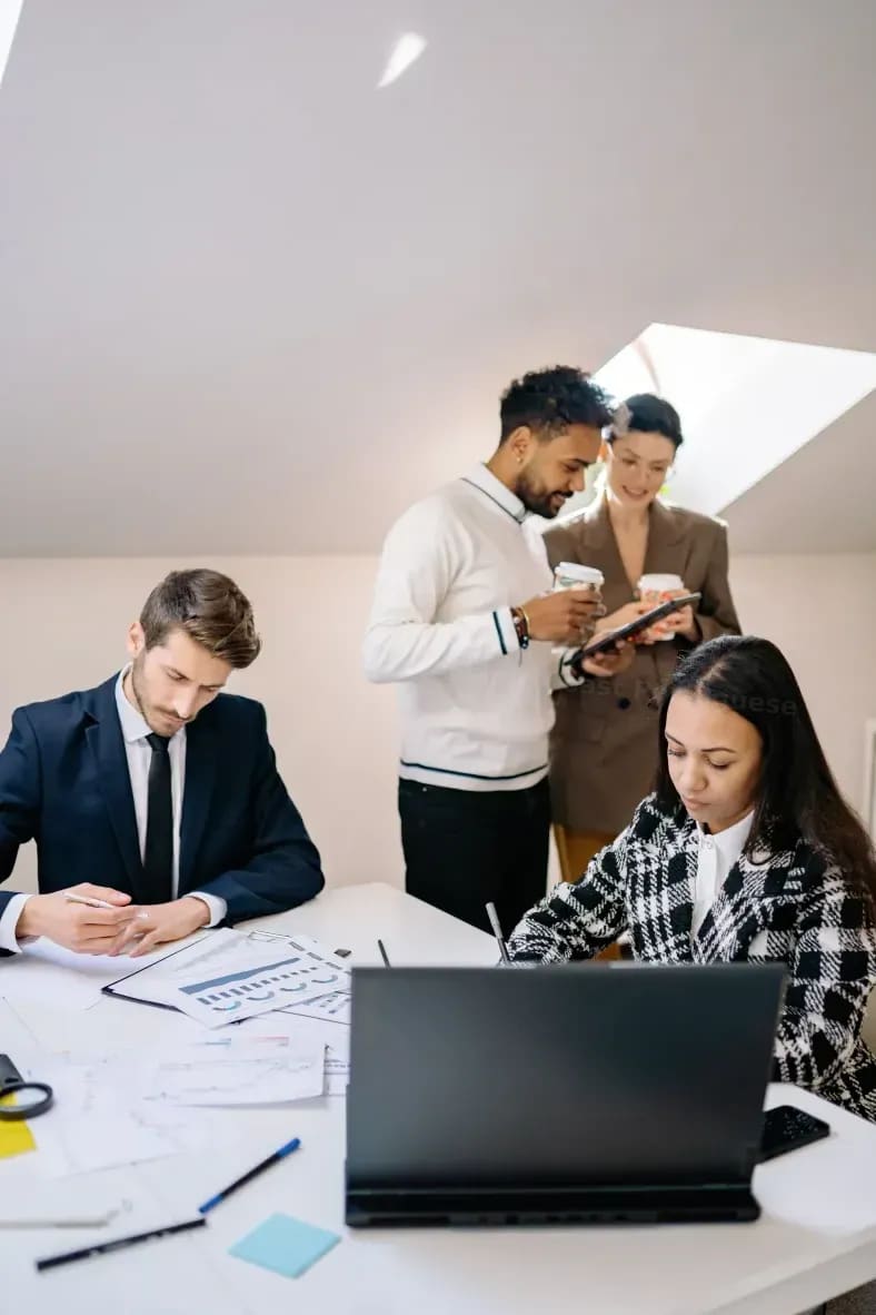 Culture Connector